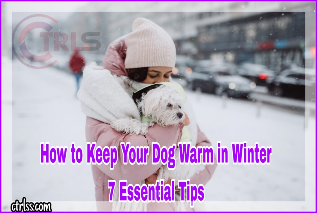 how to keep your dog warm in winter
Warm in Winter dog
how to keep dogs warm in winter
how to keep outside dogs warm in winter
