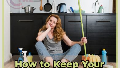 How to Keep Your House Clean : The Ultimate Guide