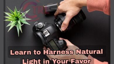 Learn to Harness Natural Light in Your Favor