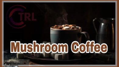 Mushroom Coffee : The Next Big Health Trend