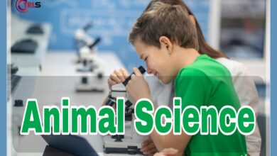 What is animal science?