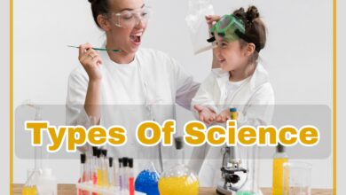 What are the types of science?