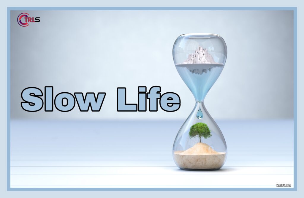 slow life
slowlife
